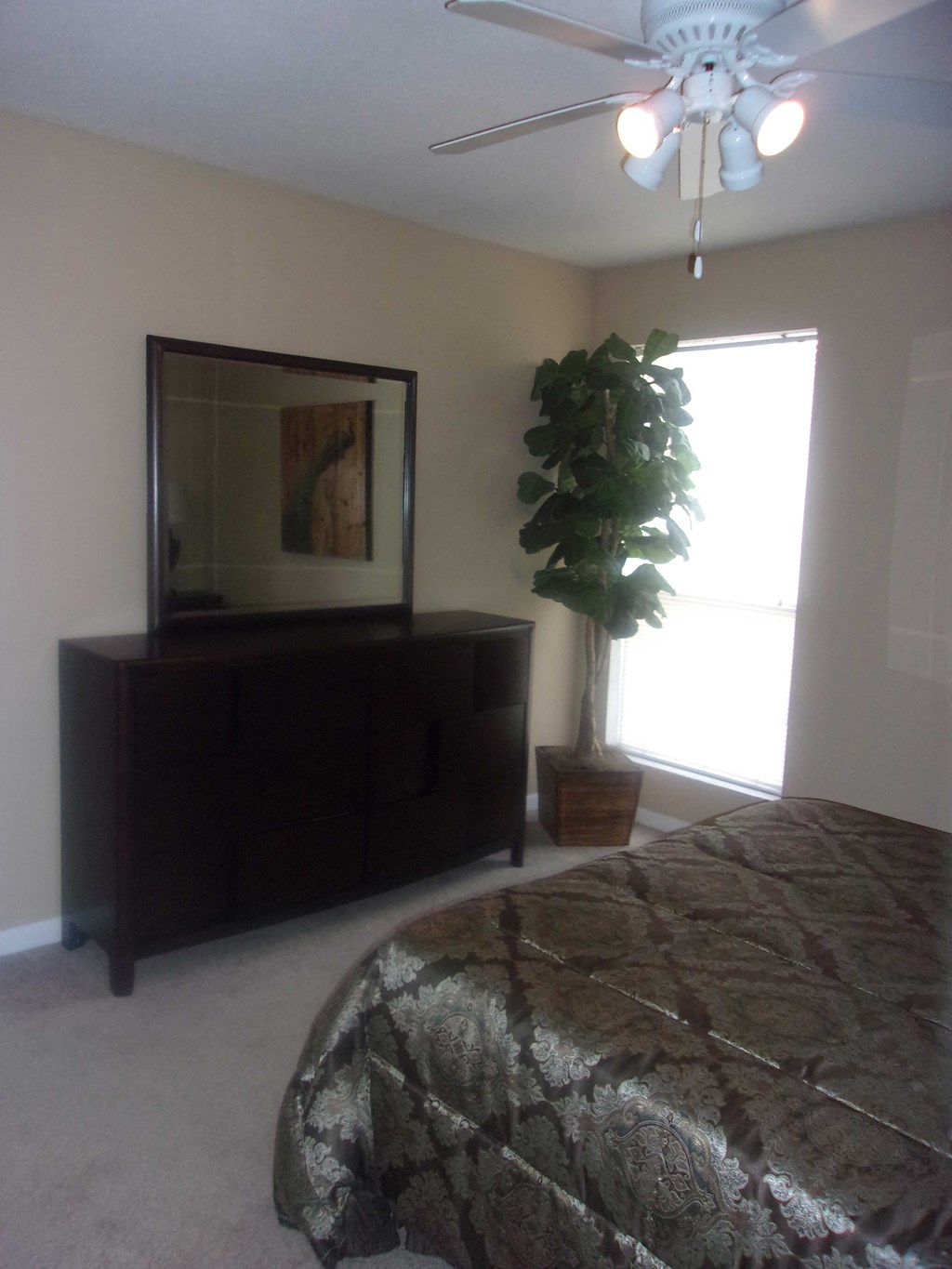 Carriage Glen Apartments, 1811 City Hall Dr., Rosenberg, TX RentCafe